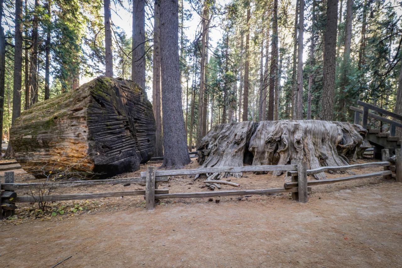 Hikers Haven Villa Arnold Exterior photo